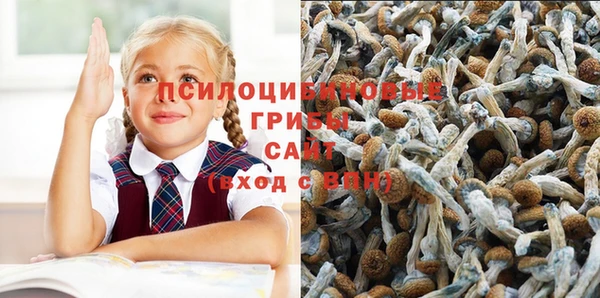 гидра Балахна